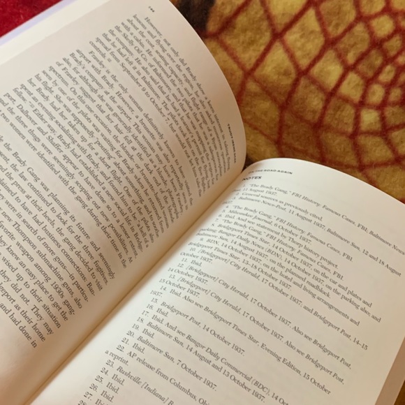 PUBLIC ENEMY NUMBER ONE - By Trudy Irene Scee (paperback) book - Picture 4 of 5